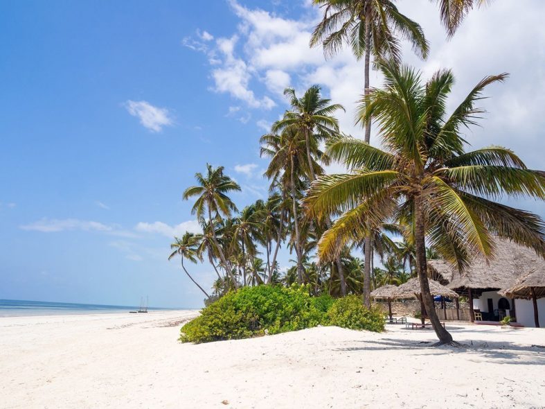Bělostné pláže Zanzibaru