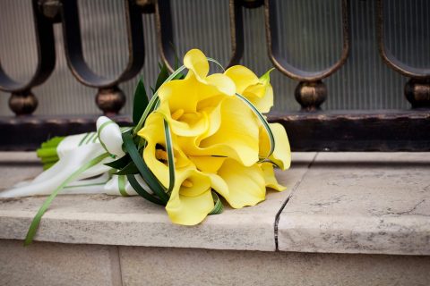 Žlutá svatba – fotogalerie