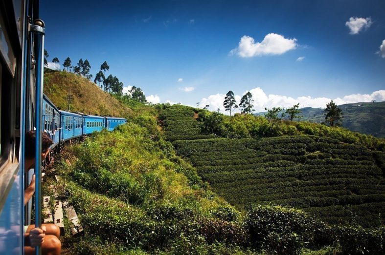 Vlakem přes čajové plantáže na Srí Lance